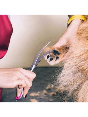 Cloud Senlinli 6 Inç Pet Bakım Köpek Saç Makas Seti (Yurt Dışından)