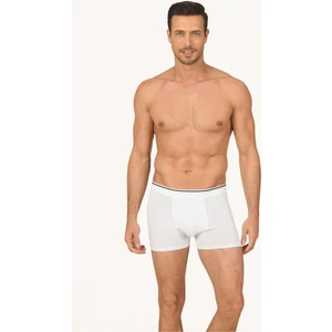 3 Adet, Modal, Pamuklu, Likralı Erkek Boxer, Ön Jile Çift Katlı, Nefes Aldırır