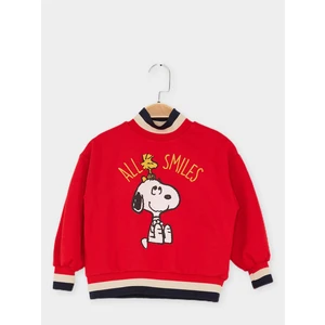 Lisanslı Çocuk Sweatshirt 21643