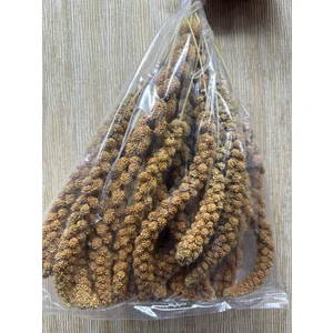 Ertargın Shop 500 gr Kızıl Dal Darı