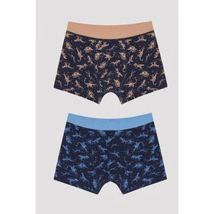 Erkek Çocuk Colorful Dino 2'li Boxer