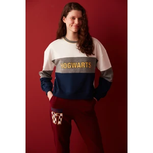 Çok Renkli Block Sweatshirt-Harry Potter Koleksiyonu