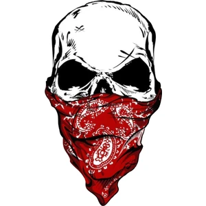 Quart Aksesuar 13 x 7 cm Kuru Kafa Sticker Motor Araba Kask Laptop Sticker