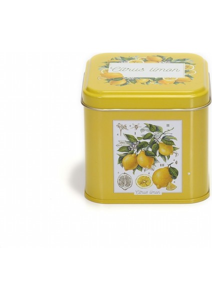 Limon Desenli Kare Çok Amaçlı Metal Erzak Saklama Kabı 0.7 lt - Sarı