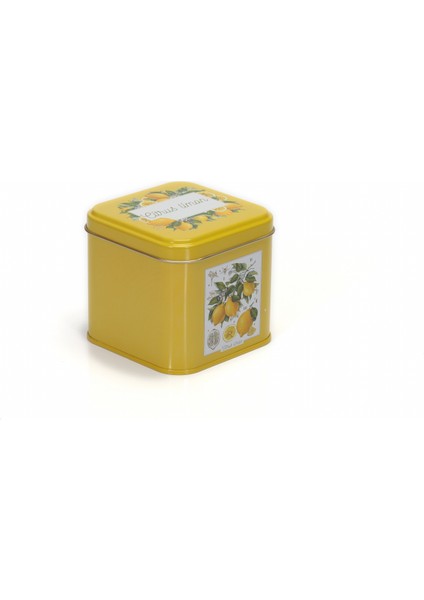 Limon Desenli Kare Çok Amaçlı Metal Erzak Saklama Kabı 0.7 lt - Sarı