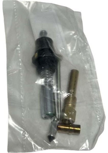 Tvs Apache RTR200 2019-2024 Enjeksiyon Karbüratör Tamir Kiti Takımı A