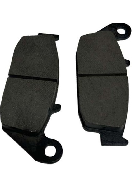 Tvs Apache RTR200 2019-2024 Arka Disk Fren Balatası A