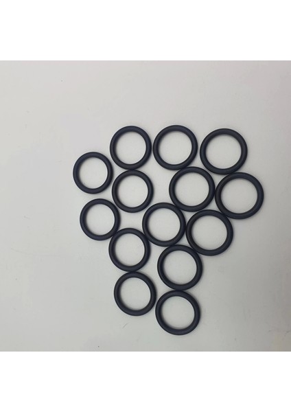 Oring Kalınlık 4 Iç Çap 55 mm Dış Çap 63 mm (4X55) 70 Shore