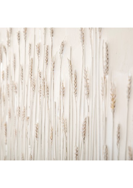 Tedro Tablo Beyaz/natural modelleri