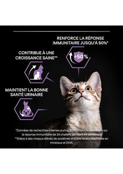 Proplan Kitten Yavru Kedi Maması 1.5 kg - Marspet