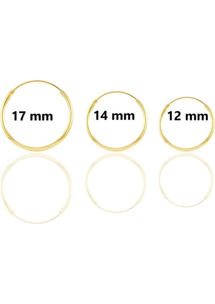 Trend Collection Kadın Gold Klasik Halka Paslanmaz Çelik Küpe Set (6 Adet)