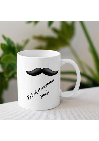 Erkek Herzaman Haklı Tasarımlı Bardak fiyatları