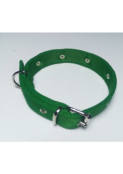 Kelebekli Süslü Köpek Tasması 60 x 3 cm modelleri