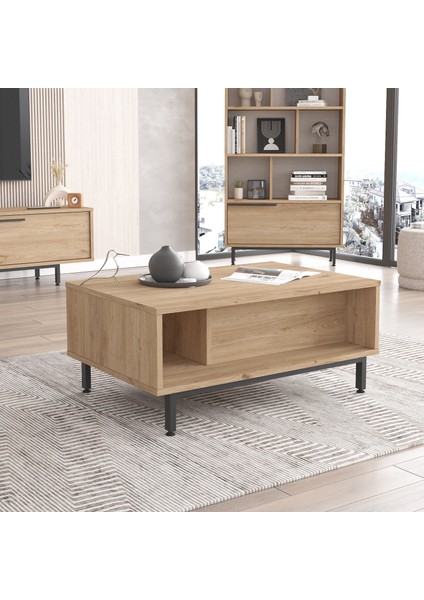 Leena Orta Sehpa Metal Ayaklı Kapaklı Sepet La2-S fiyatları