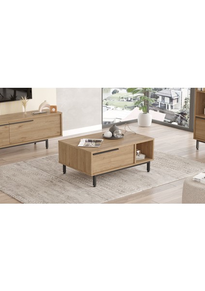 Leena Orta Sehpa Metal Ayaklı Kapaklı Sepet La2-S modelleri