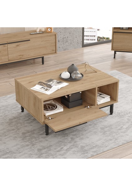 Leena Orta Sehpa Metal Ayaklı Kapaklı Sepet La2-S fırsatları