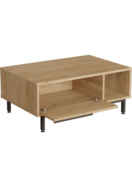 Leena Orta Sehpa Metal Ayaklı Kapaklı Sepet La2-S indirimleri