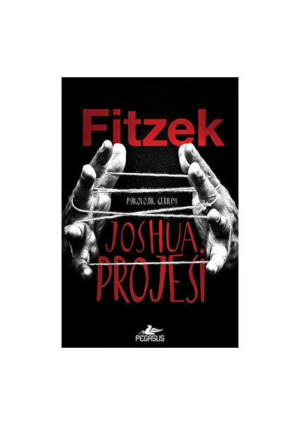 Joshua Projesi - Sebastian Fitzek