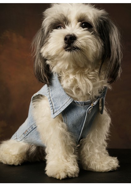 Hera Denim Kedi & Köpek Yelek