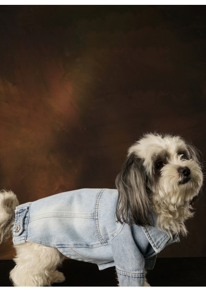 Hera Denim Kedi & Köpek Ceket modelleri