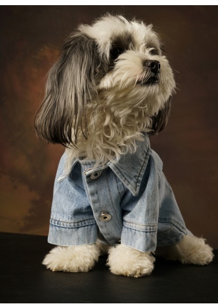 Hera Denim Kedi & Köpek Ceket fırsatları