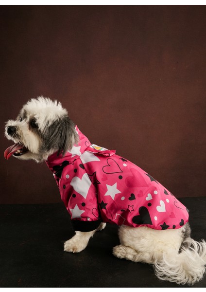 Star Kedi & Köpek Mont modelleri