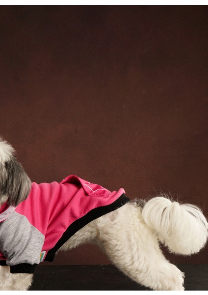 Star Kedi & Köpek Sweatshirt modelleri