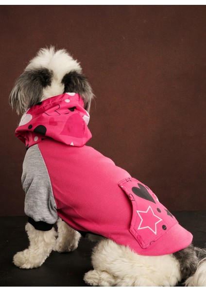 Star Kedi & Köpek Sweatshirt fırsatları