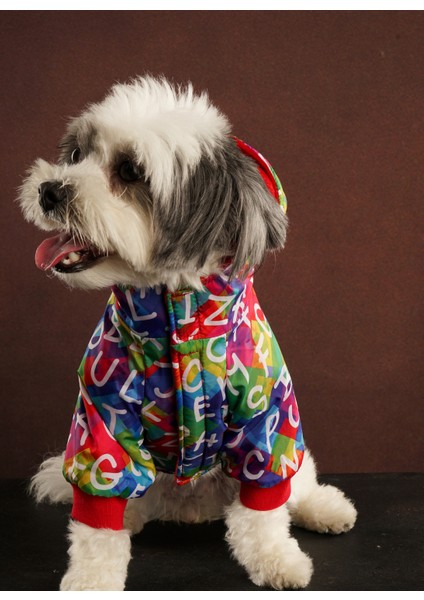 Scholl Kedi & Köpek Mont modelleri