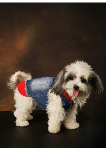 Betty Denim Casual Kedi&köpekyelek modelleri