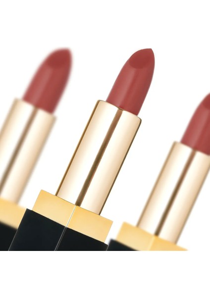 Silk Velvet Lipstick Ruj 01 Rust, Nemlendirici Etki, Yoğun Pigmentasyon, Kadifemsi Dudaklar fırsatları