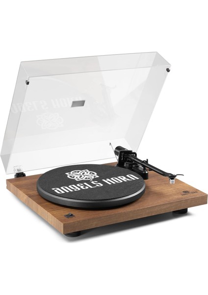 AT-3600L Pikap, Vinil Plak Çalar