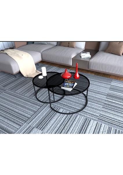 Visal Orta Sehpa Yuvarlak Füme Kırılmaz Cam 2'li Sehpa Takımı 80 cm fiyatları