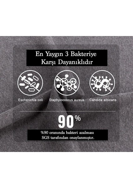 Gri Köpek Kıyafeti modelleri