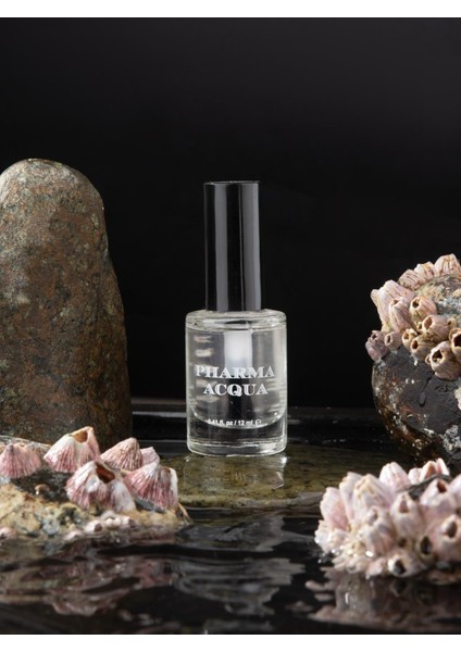 Fresh Nail Varnish Oje - 00 12 ml