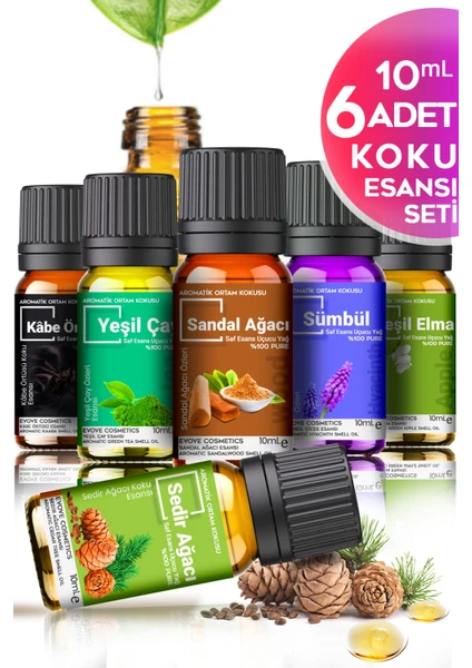 Evove Cosmetics 6'lı Set 6X10 ml Oda Ofis Mağaza Kokusu Difüzor Buhar Makinesi Yağ Esansı Ortam Kokusu