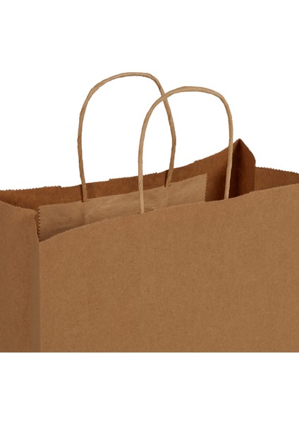 25x12x31-25 Adet Burgu Saplı Kraft Çanta modelleri