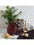 ER181-5C Circus Potatoes Desenli Patates & Soğanlık 3