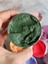 Dekoratif Rölyef Pasta (Sculpture PASTE)-1376 Yonca YEŞILI-250ML-400GR 1