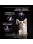 Proplan Kitten Yavru Kedi Maması 1.5 kg - Marspet 4