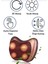 Çift Motorlu Titreşimli Yoğurmalı Isıtmalı Rahatlatıcı Bel Boyun Ayak Sırt Omuz Carhome Ikili 4