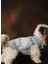 Hera Denim Kedi & Köpek Yelek 4