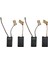 Gbh 7 De Gbh 7-46 De Gbh 7-45 De S20G A69 Için 4 Paket Karbon Fırçalar (Yurt Dışından) 1