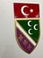 Sancak Bayrağı -Türk Bayrağı Birlikte Duvar Dekoru 1