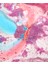 Wild Berries Banyo Topu/nem Topu/bath Bomb 200gr 2