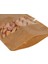 20x30x5 Cm-3000 Adet Kraft Dar Pencereli Doypack 3