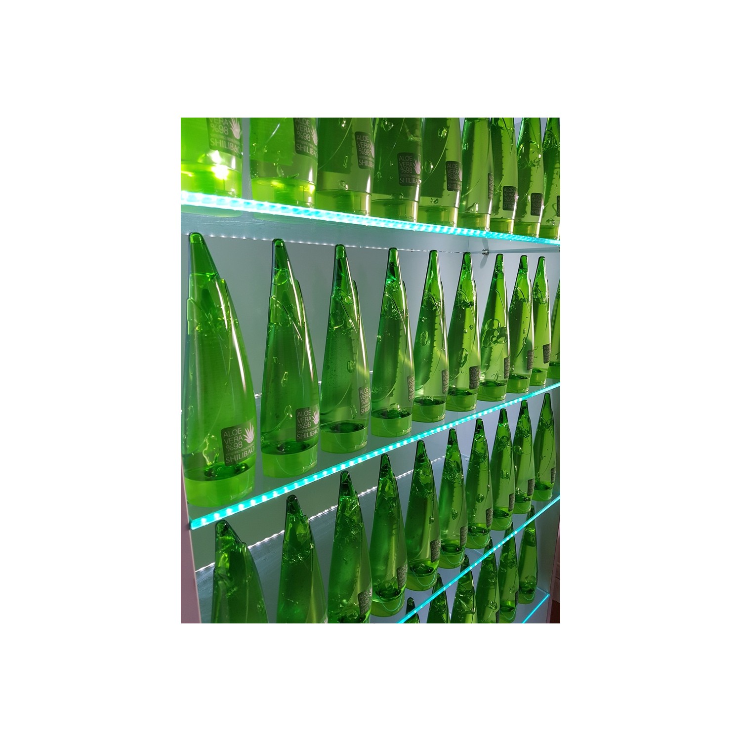 Aloe Vera Suyunun Harika 35 Faydası Aloe Vera Suyunun Harika 35 Faydası