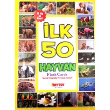 Diytoy İlk 50 Hayvan Flash Kartları