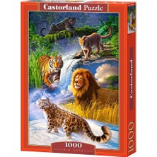 Castorland 1000 Parça Büyük Kediler Puzzle