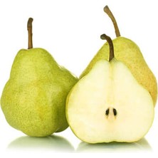 Fidanova Armut Fidanı Deveci, Tüplü, +100 Cm